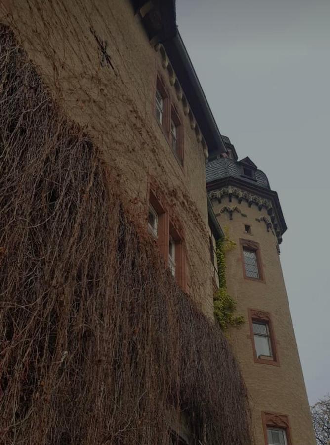 Ferienwohnung Am Geysirzentrum Andernach Exterior photo